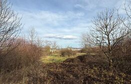 📍 Blitz vă propune spre vânzare – Teren 6.500 mp, Calea Zarandului, Deva 📣  