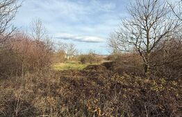 📍 Blitz vă propune spre vânzare – Teren 6.500 mp, Calea Zarandului, Deva 📣  