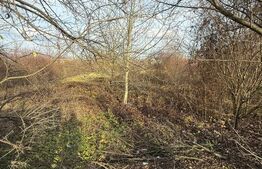 📍 Blitz vă propune spre vânzare – Teren 6.500 mp, Calea Zarandului, Deva 📣  