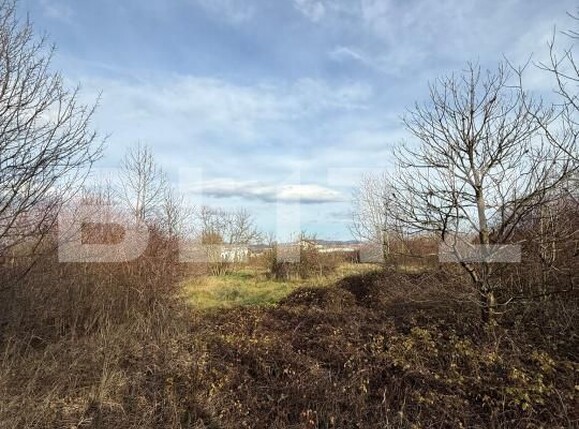 Teren de vânzare Zarand - 183722TV | BLITZ Deva | Poza2