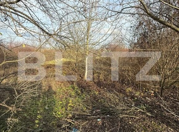 Teren de vânzare Zarand - 183722TV | BLITZ Deva | Poza3