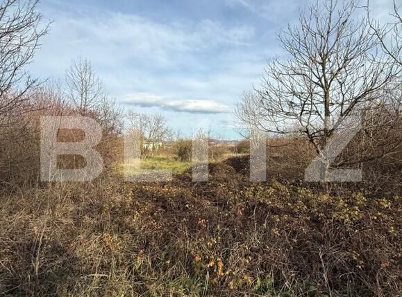 Teren de vânzare Zarand - 183722TV | BLITZ Deva | Poza1