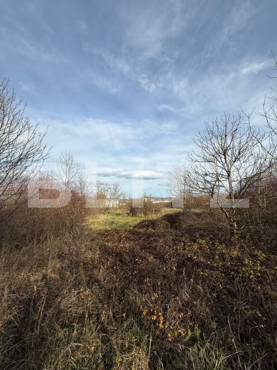 Teren de vânzare Zarand - 183722TV | BLITZ Deva | Poza2