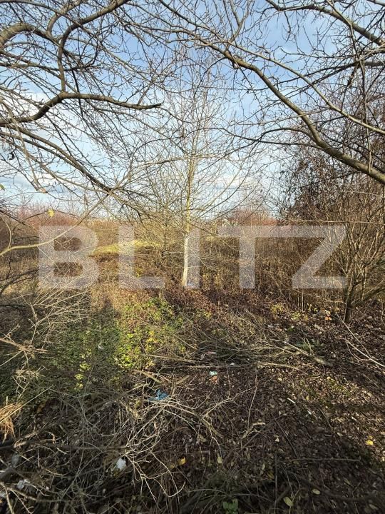 Teren de vânzare Zarand - 183722TV | BLITZ Deva | Poza3