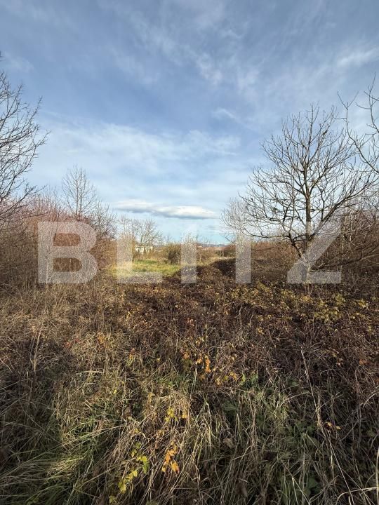 Teren de vânzare Zarand - 183722TV | BLITZ Deva | Poza1