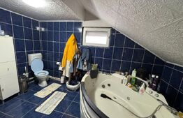 Casa cu 5 camere 300 mp in Hunedoara