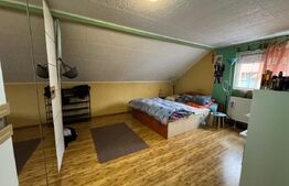 Casa cu 5 camere 300 mp in Hunedoara