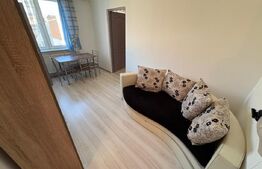 2 camere mobilat, 30 mp, centrală – gata de mutat, zonă liniștită cu parc