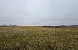 Teren intravilan in Pricaz 4416 mp