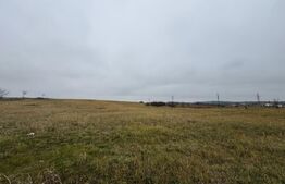 Teren intravilan in Pricaz 4416 mp