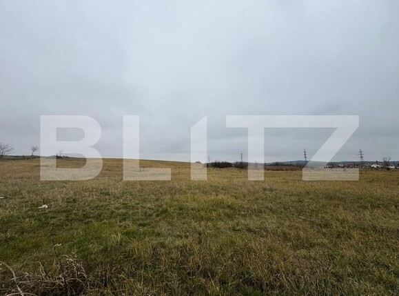 Teren de vânzare Orastie - 184228TV | BLITZ Deva | Poza1