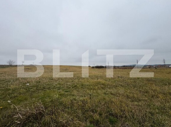 Teren de vânzare Orastie - 184229TV | BLITZ Deva | Poza2