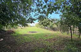 Casa cu 3 camere in Turdas