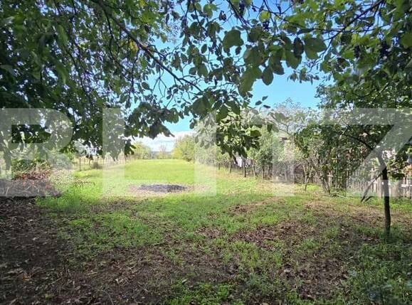 Casa de vânzare 3 camere Orastie - 184268CV | BLITZ Deva | Poza9