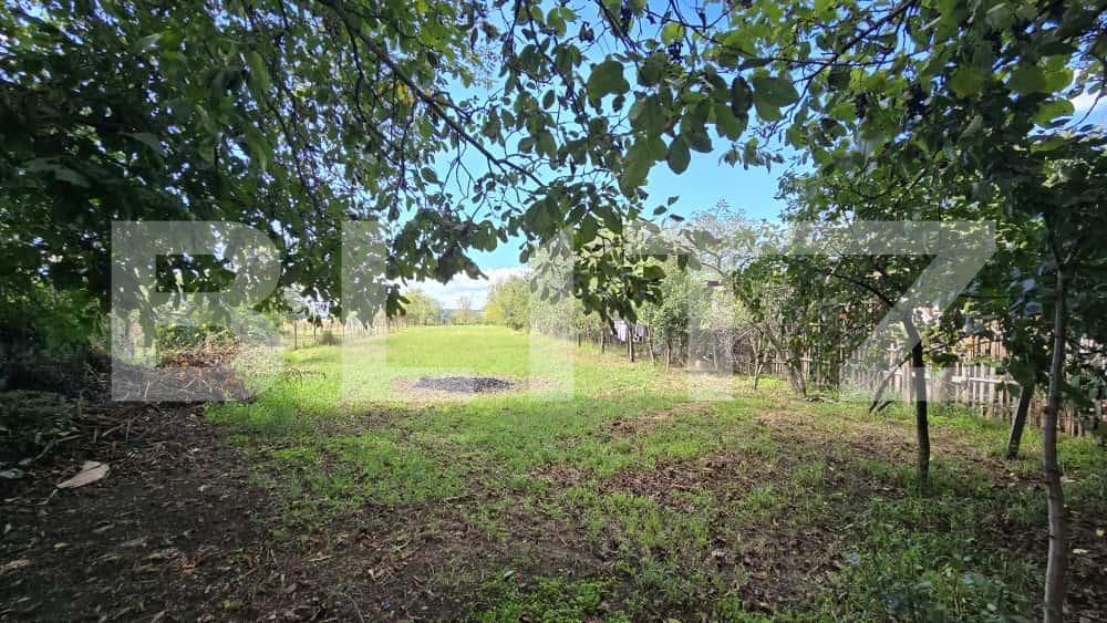 Casa de vânzare 3 camere Orastie - 184268CV | BLITZ Deva | Poza9