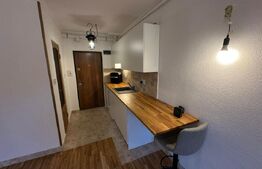 Studio cochet, renovat integral, Progresul – aproape de Cetate, DEVA