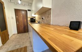 Studio cochet, renovat integral, Progresul – aproape de Cetate, DEVA