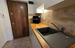 Studio cochet, renovat integral, Progresul – aproape de Cetate, DEVA