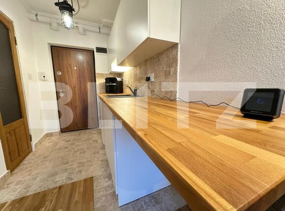 Garsonieră de vânzare Progresul - 184377AV | BLITZ Deva | Poza3