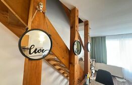 Apartament 2 camere, tip duplex, intrare separata, zona Gojdu