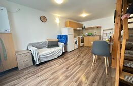 Apartament 2 camere, tip duplex, intrare separata, zona Gojdu