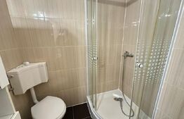 Apartament 2 camere, tip duplex, intrare separata, zona Gojdu