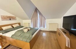 Apartament 2 camere, tip duplex, intrare separata, zona Gojdu