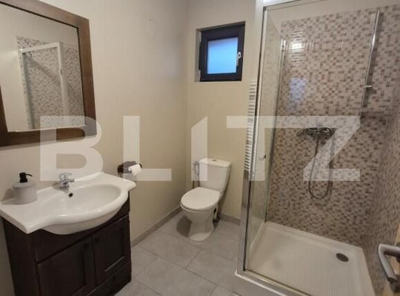 Casa de închiriat 3 camere Santuhalm - 184531CI | BLITZ Deva | Poza12