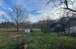 Vand casa cu 4 camere in Orastioara de Jos