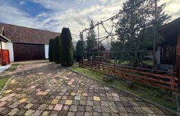 Vand casa cu 4 camere in Orastioara de Jos