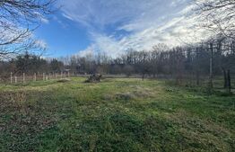 Vand casa cu 4 camere in Orastioara de Jos