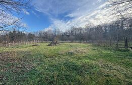 Vand casa cu 4 camere in Orastioara de Jos