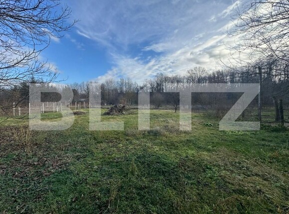Casa de vânzare 4 camere Orastie - 184535CV | BLITZ Deva | Poza21