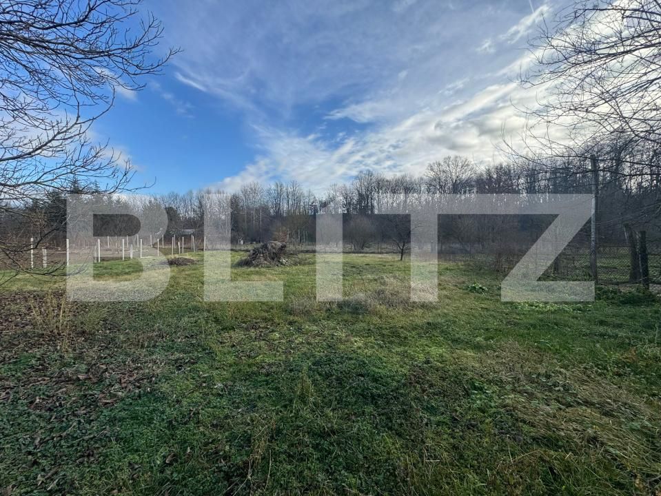 Casa de vânzare 4 camere Orastie - 184535CV | BLITZ Deva | Poza21