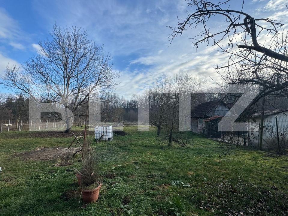 Casa de vânzare 4 camere Orastie - 184535CV | BLITZ Deva | Poza23