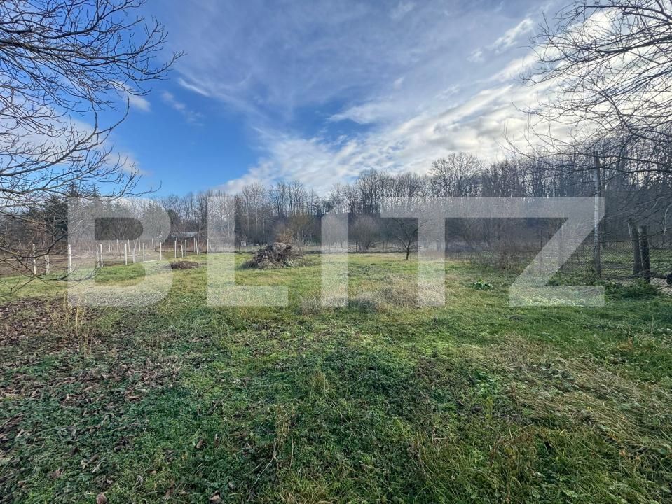 Casa de vânzare 4 camere Orastie - 184535CV | BLITZ Deva | Poza22