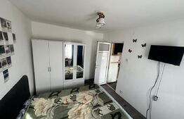 Apartamanet 1 camera, 24 mp, strada Aleea Romanilor