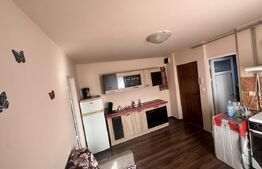 Apartamanet 1 camera, 24 mp, strada Aleea Romanilor