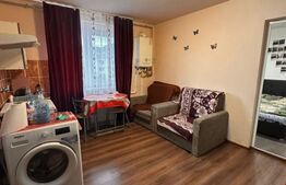 Apartamanet 1 camera, 24 mp, strada Aleea Romanilor