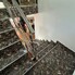 Casa de vânzare 4 camere Vulcan - 185903CV - Poza 1 din 15 | BLITZ Deva | Poza8