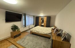 Casa cu 4 camere in Vetel