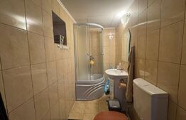 Casa cu 4 camere in Vetel