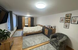 Casa cu 4 camere in Vetel