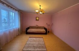 Casa cu 4 camere in Vetel