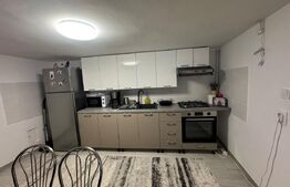 Casa cu 4 camere in Vetel