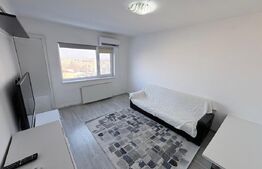 Apartament 42 mp, mobilat și renovat, cu balcon și AC – Micro 15, Deva