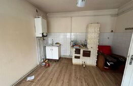 Oportunitate investițională: Casă cu subsol, parter, etaj și mansardă, Deva