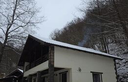 CABANA DACICA –Refugiu premium la poalele Munților Dacici, în inima Costeștiului