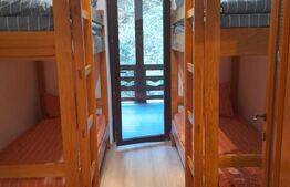 CABANA DACICA –Refugiu premium la poalele Munților Dacici, în inima Costeștiului