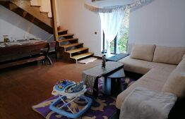 CABANA DACICA –Refugiu premium la poalele Munților Dacici, în inima Costeștiului